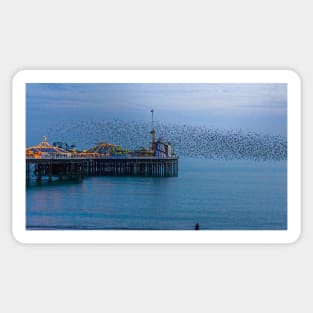 The starling murmuration, Brighton Seafront, England Sticker